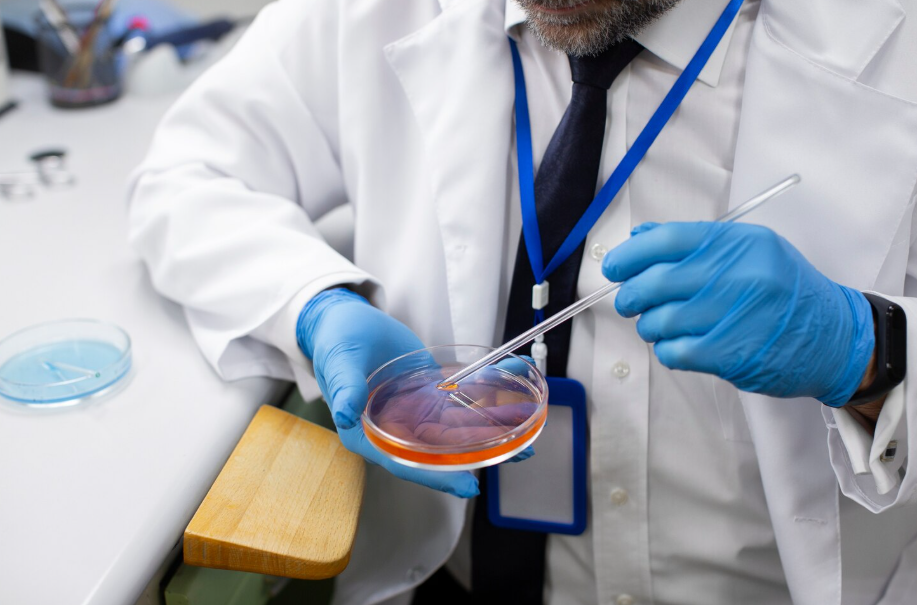 Dr. Rodrigo Alves e Dr.ª Ana Rodolfo