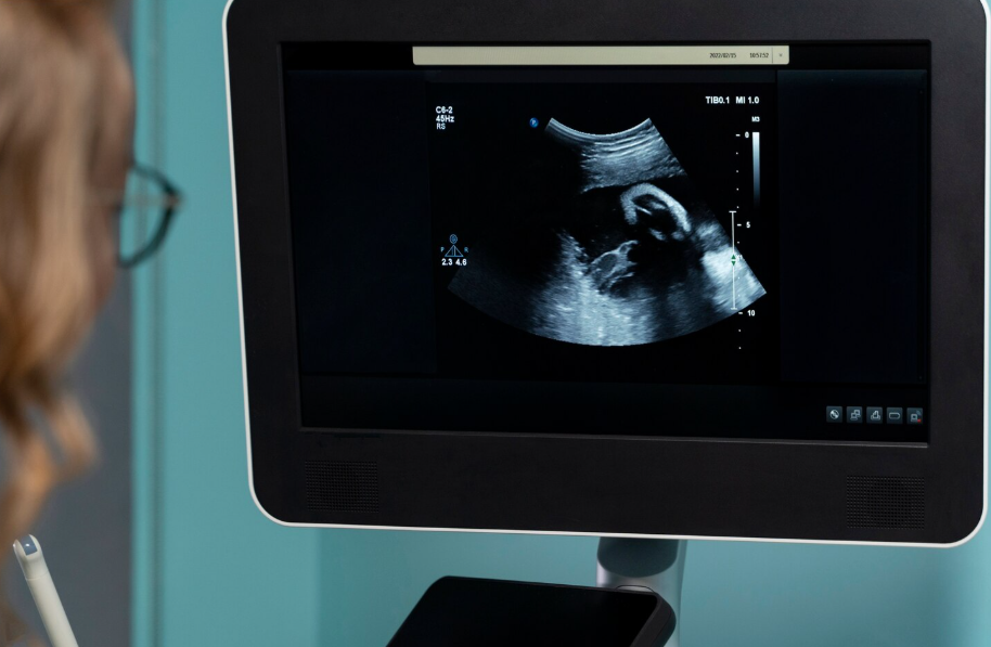 Dr. Manuel Patrício Alves e Dr. João Patrício Alves